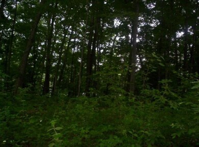 0 Broadway unit 14036770, Bitely, MI 49309 - photo 2