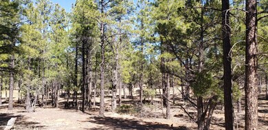 1300 S Jimson Loop