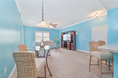 Dining room featuring ceiling fan, carpet floors,