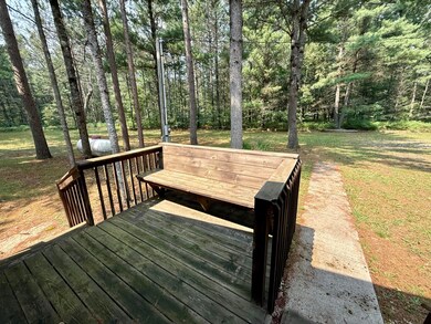 333 E 20th St, Baldwin, MI 49304 - photo 7