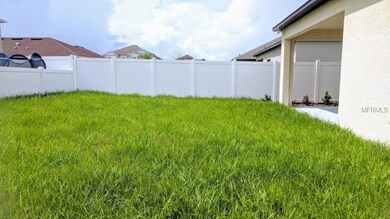 14338 Fissore Blvd, Wimauma, FL 33598 - photo 4