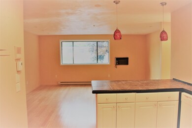 69 Milliken Ave unit 15, Franklin, MA 02038 - photo 5