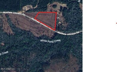 Nhn Matthew Johnson Rd, Wiggins, MS 39577 - photo 2