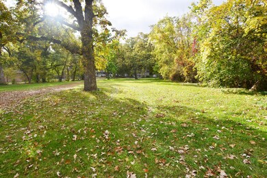 The view of the front yard. Tons of room to run & play.