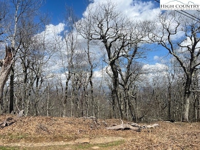 TBD Fire Tower Rd, Boone, NC 28607 - photo 2