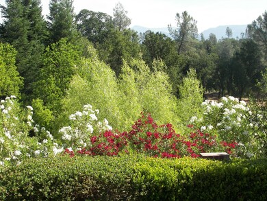 One Acre Estate Size Parcel