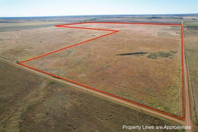 Completely Fenced with 6 Wire Barbed Wire Fence.