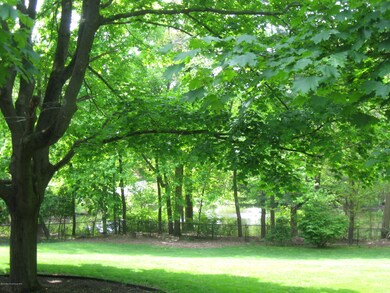 YARD FROM DECK