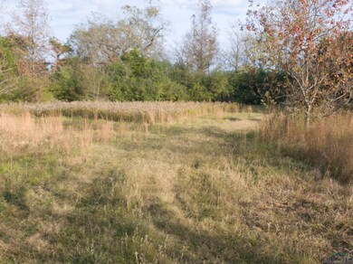 TBD Cr 122 E, Nacogdoches, TX 75695 - photo 4