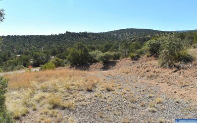 Lot 12 Hereford Dr, Silver City, NM 88061 - photo 5