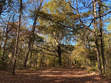 2415 Fm 698, Nacogdoches, TX 75964 - photo 3