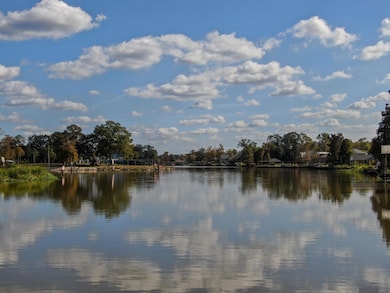 14390 Bayou Terrace Dr, St. Amant, LA 70774 - photo 5