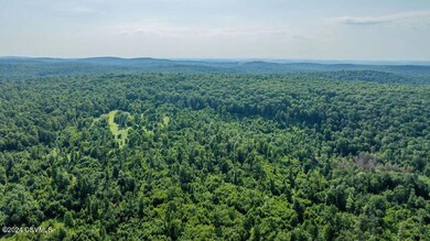 0 Kyttle Pike Rd unit 20-97737, Sweet Valley, PA 18656 - photo 7