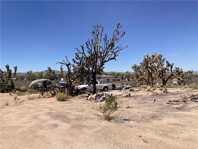 26305 N Sandy Point Dr, Meadview, AZ 86444 - photo 5