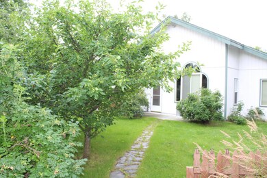 Back Yard 1