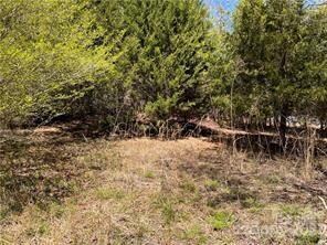 0000 Elliott Ln unit 45 & 48, Rutherfordton, NC 28139 - photo 5