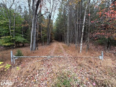 609 Ball Mountain Ln, Shipman, VA 22971 - photo 7