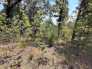 1302 & 1304 View Park Cir, Horseshoe Bend, AR 72512 - photo 5