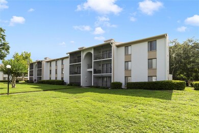 Building back view
