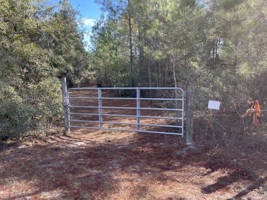 XXX Danley Grade, Crawfordville, FL 32327 - photo 2