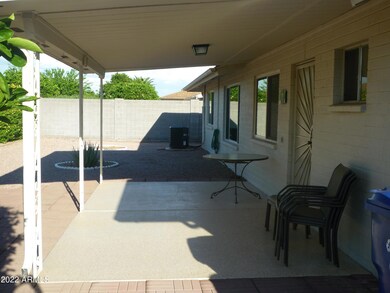 Back Patio