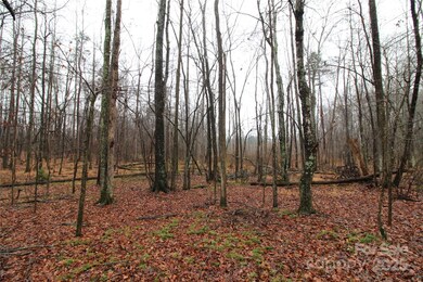 4+/-AC LOT 3 Eaker Rd, Kings Mountain, NC 28086 - photo 4