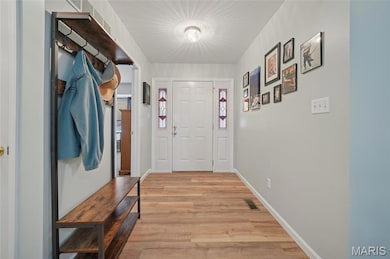 22 Biloxi Ct, Saint Charles, MO 63303 - photo 3