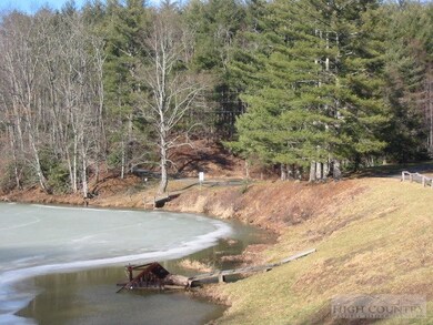 Winter view of common lake area