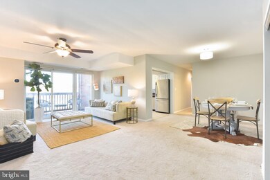 49 Skyhill Rd unit 203, Alexandria, VA 22314 - photo 2