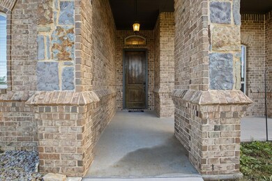 116 Spring Meadow Dr, Springtown, TX 76082 - photo 4
