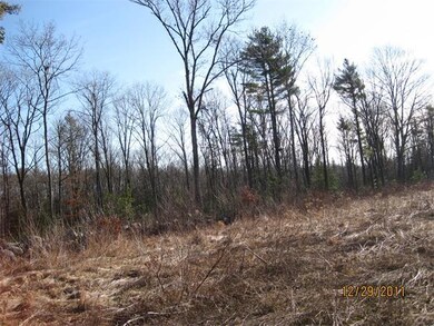 Lot D Williamsville Rd, Hubbardston, MA 01452 - photo 2