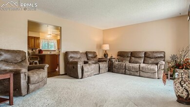 Living Room Flows into the Kitchen