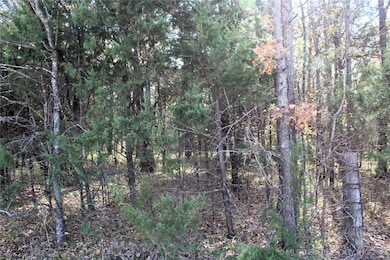 0 Red Lake Rd, Albany, OK 74726 - photo 7