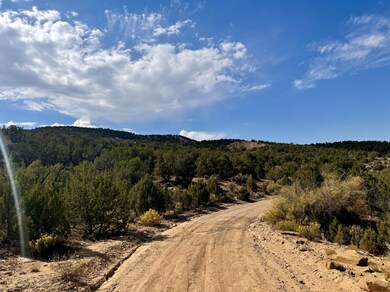 0 Horse Canyon Rd unit 22924872, de Beque, CO 81630 - photo 5
