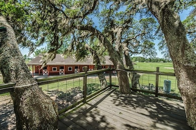 View from treehouse