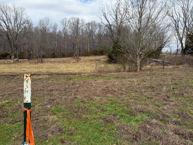 Lot 5 Thomas Twin Oaks Rd, Baxter, TN 38544 - photo 6