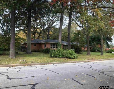 3331 3331 Dinah Ln, Tyler, TX 75701 - photo 3