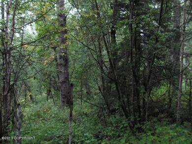 tree cover