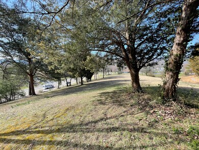 3036 Veterans Blvd Middle Creek Rd, Pigeon Forge, TN 37863 - photo 7