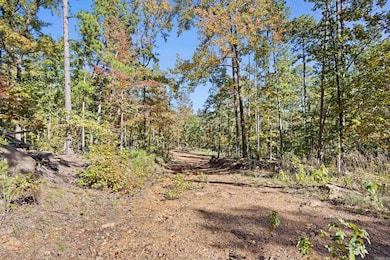 0 Arkansas 155, Dardanelle, AR 72834 - photo 7