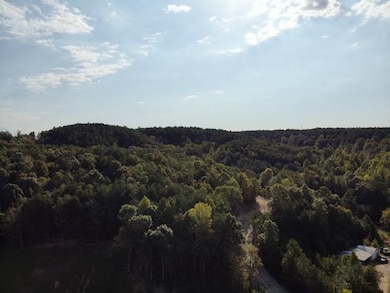 Hodges Cemetery Rd, Brookside, AL 35068 - photo 2