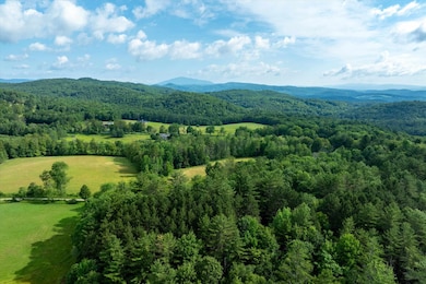 276 Dutton District Rd, Springfield, VT 05156 - photo 5