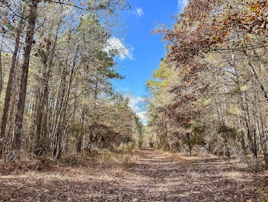 County Road 2235, Bagwell, TX 75412 - photo 5