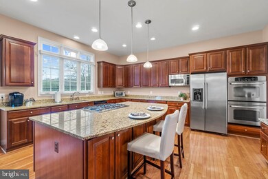 16748 Chestnut Overlook Dr, Purcellville, VA 20132 - photo 6