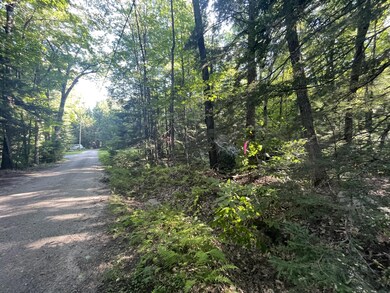 Lot #17R Waterview Trail, Bridgton, ME 04009 - photo 6