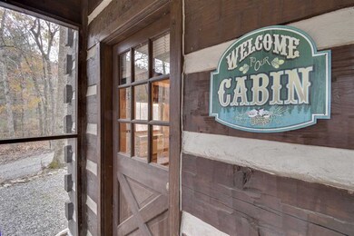 1875 Irish Creek Rd, Vesuvius, VA 24483 - photo 4