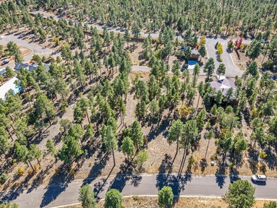 401 E Huckleberry Ln, Show Low, AZ 85901 - photo 4