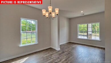 3288 Hawksbill St SW, Concord, NC 28027 - photo 6