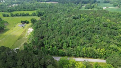 Drone / aerial view of a forest