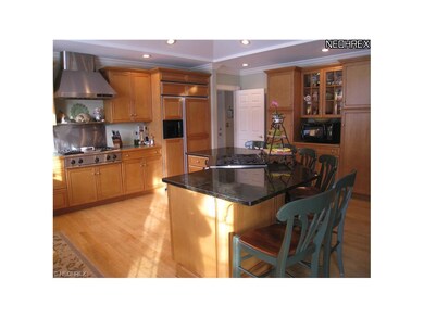 Notice the maple cabinets,covered Sub Zero refrige